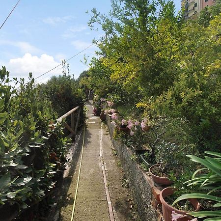 Villa Lardarina Corniglia Bagian luar foto