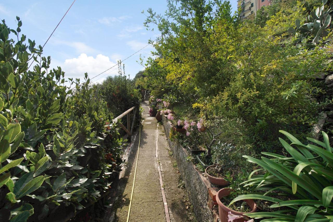 Villa Lardarina Corniglia Bagian luar foto