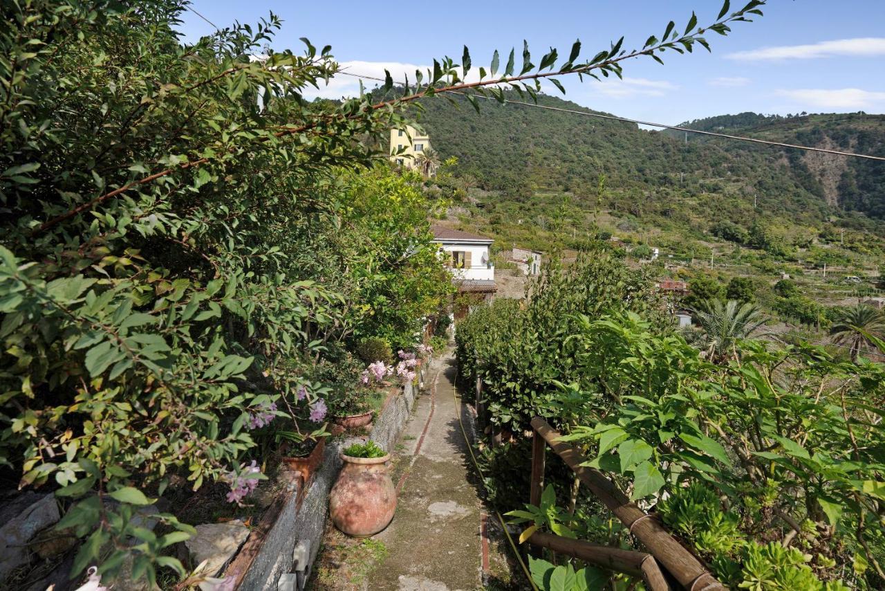 Villa Lardarina Corniglia Bagian luar foto